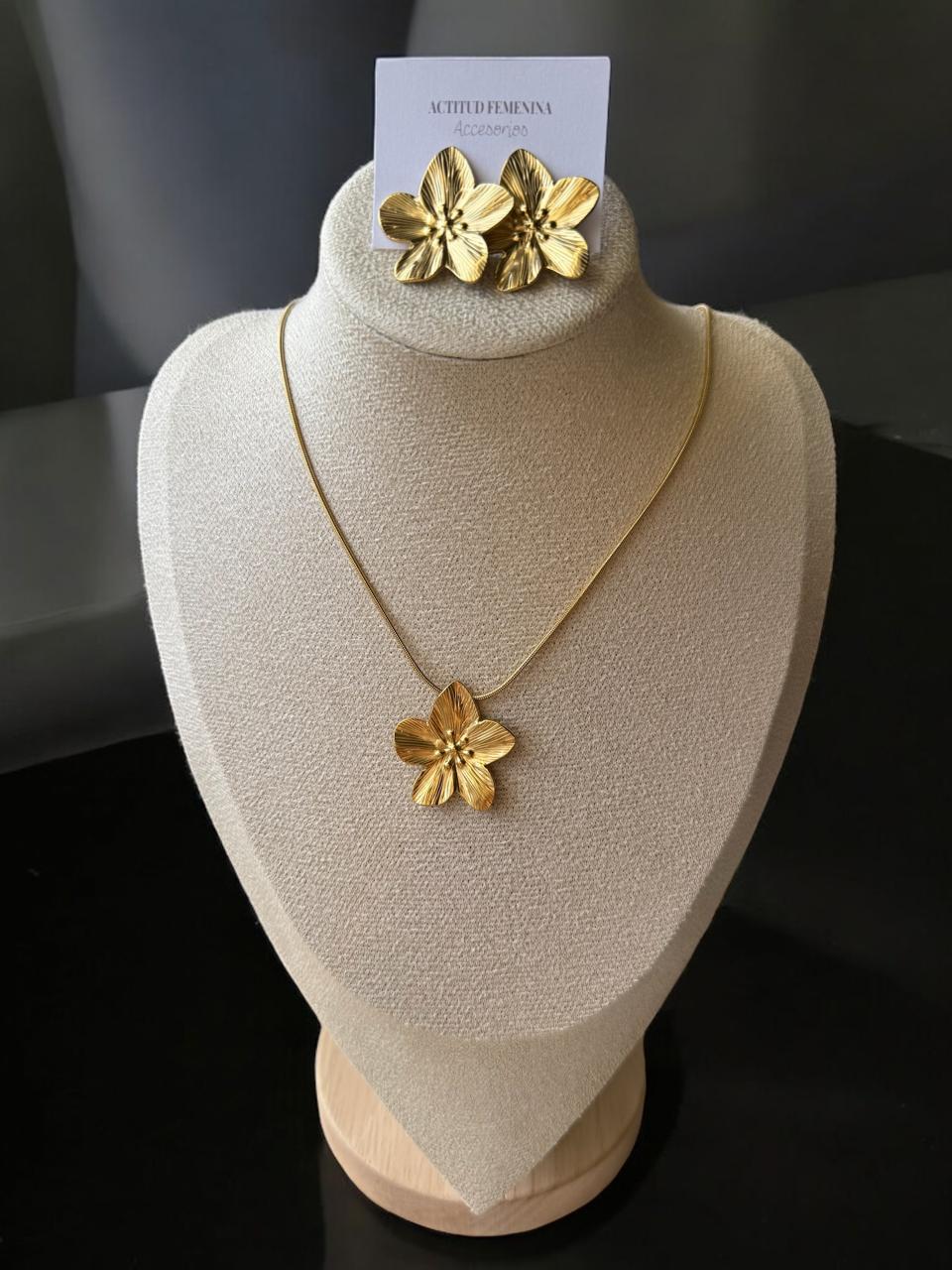 Set acero inoxidable