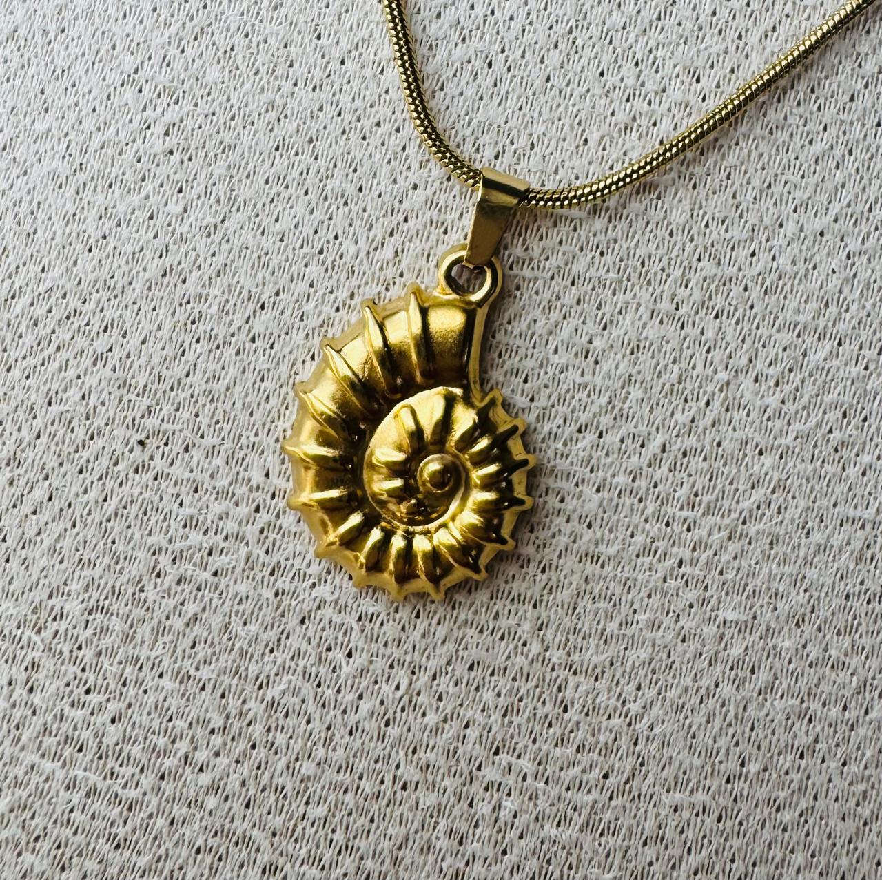 Collares Acero inoxidable