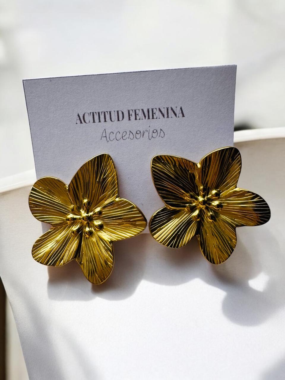 Set acero inoxidable